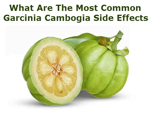 Garcinia Cambogia Side Effects