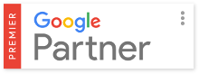 Google Partner - Surjeet Thakur