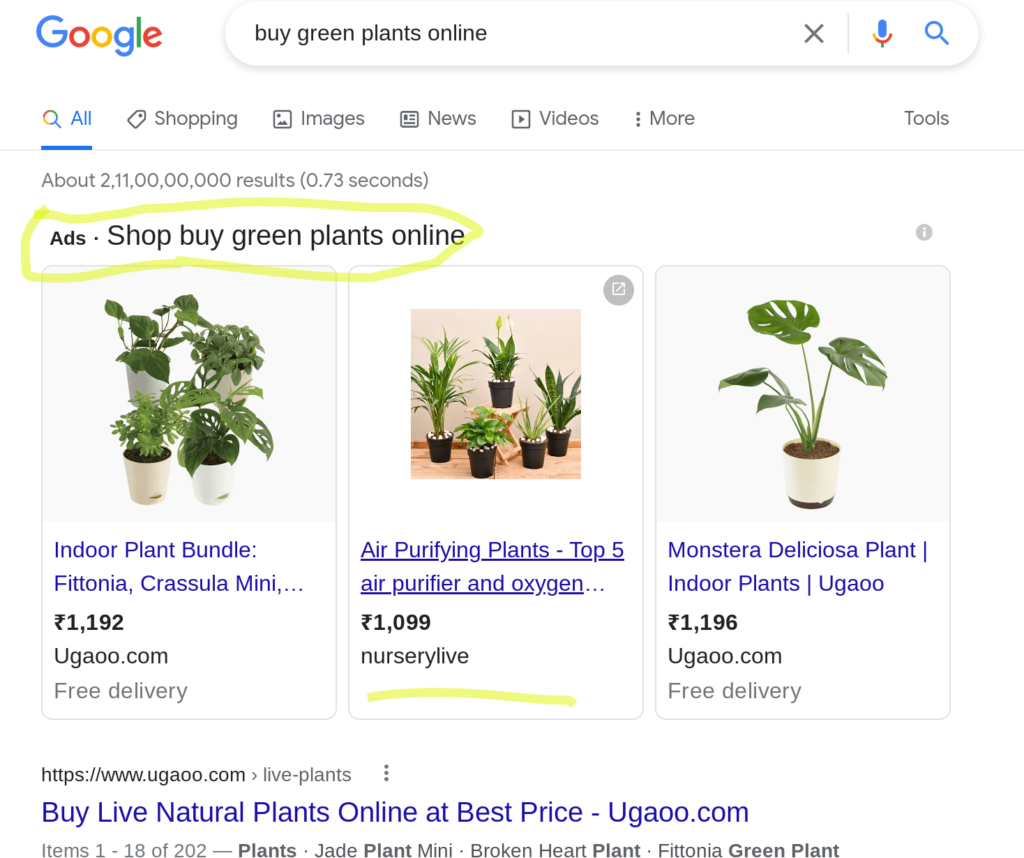 Google ads for ecommerce store